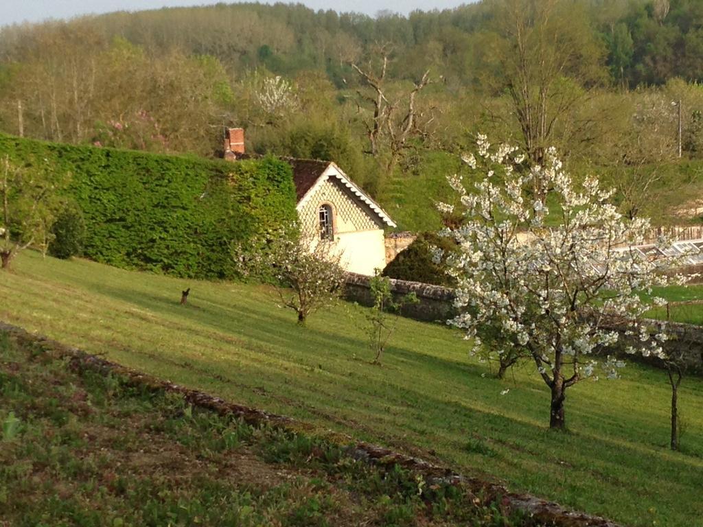 Domaine Des Bidaudieres Vouvray Esterno foto