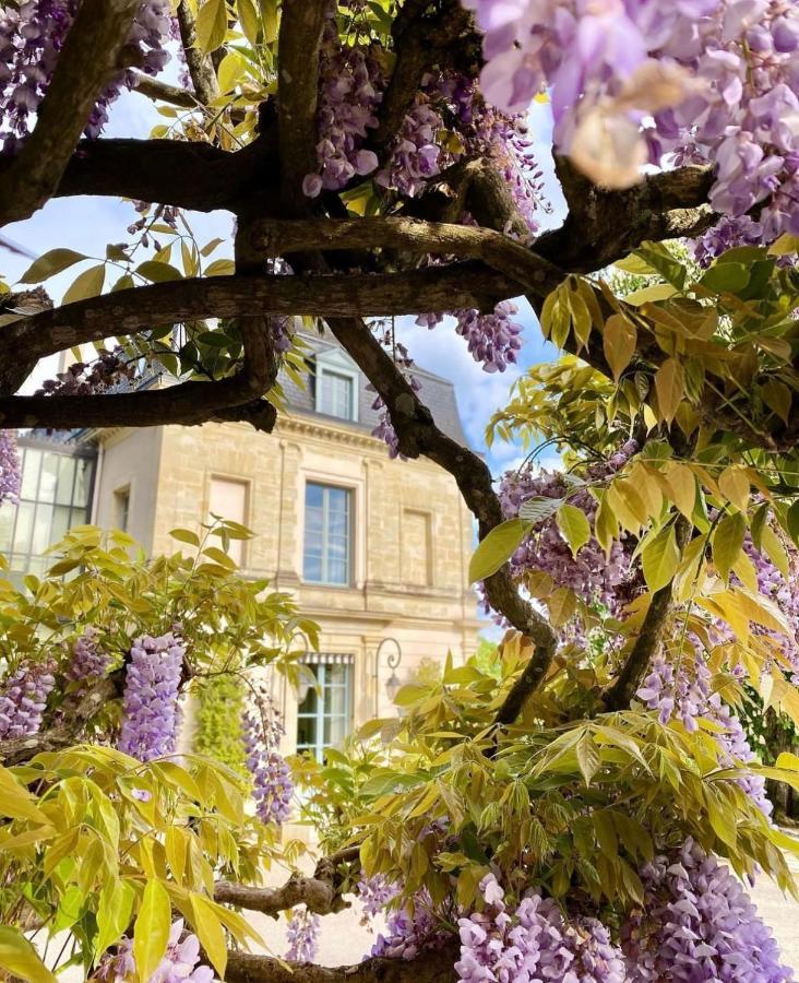 Domaine Des Bidaudieres Vouvray Esterno foto